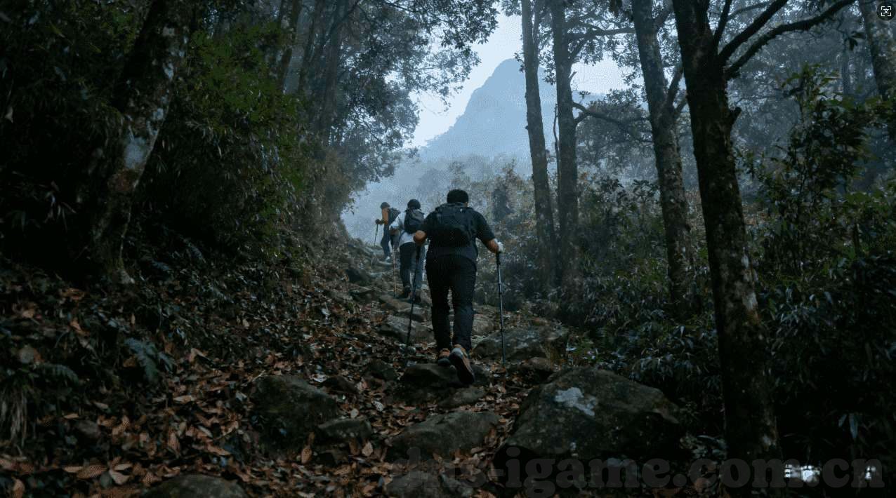 世界杯猜冠军彩票-世界杯猜冠军彩票，激情与博弈的碰撞